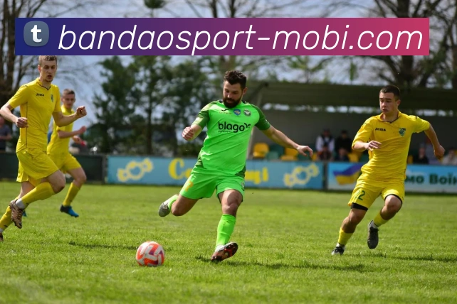 半岛体育APP 封面图